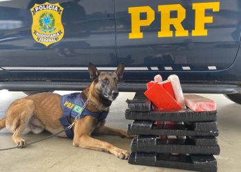 Mulher é presa pela PRF com mais de 26 kg de maconha em onibus na BR-116