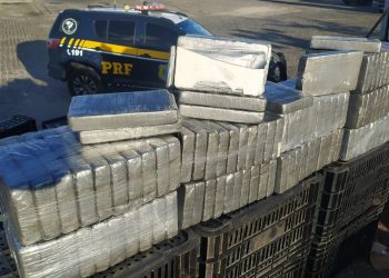 PRF realiza duas apreensões de cocaína durante a Operação Proclamação da República