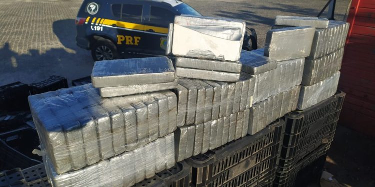 PRF realiza duas apreensões de cocaína durante a Operação Proclamação da República