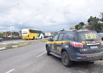 Vitória da Conquista: PRF apreende cocaína despachada em ônibus de viagem com auxílio de cão farejador