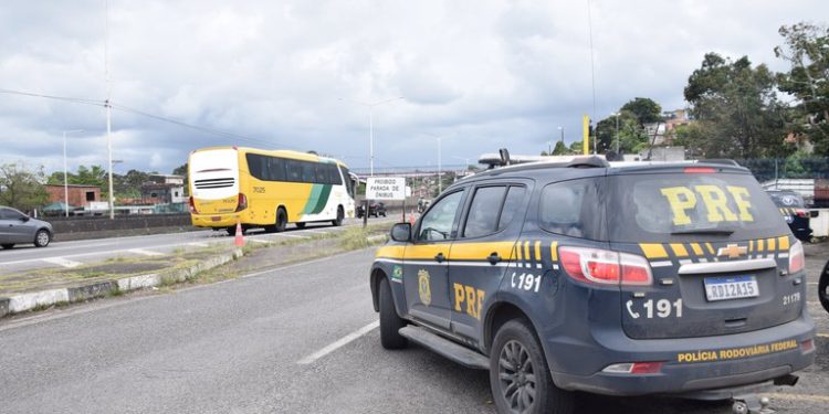 Vitória da Conquista: PRF apreende cocaína despachada em ônibus de viagem com auxílio de cão farejador
