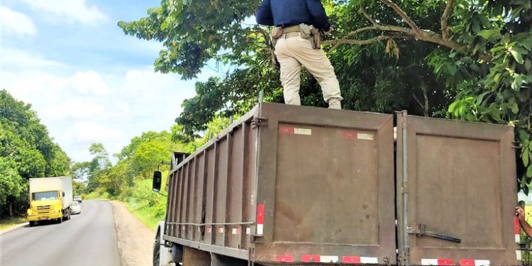 PRF apreende carga de madeira transportada ilegalmente em Jequié