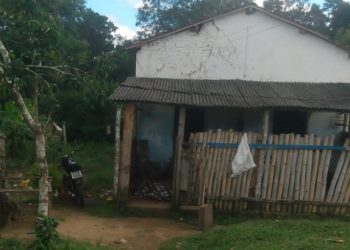 Barra do Rocha: Dois homens são assassinados em bar na zona rural