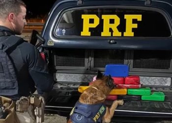 PRF realiza apreensão de mais de 15 Kg de cocaína em Feira de Santana, durante a Operação Cão de Faro VI