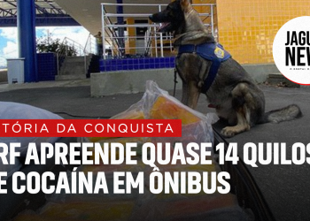 PRF apreende quase 14 quilos de cocaína em ônibus interestadual na cidade de Vitória da Conquista