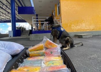 PRF apreende quase 14 quilos de cocaína em ônibus interestadual na cidade de Vitória da Conquista