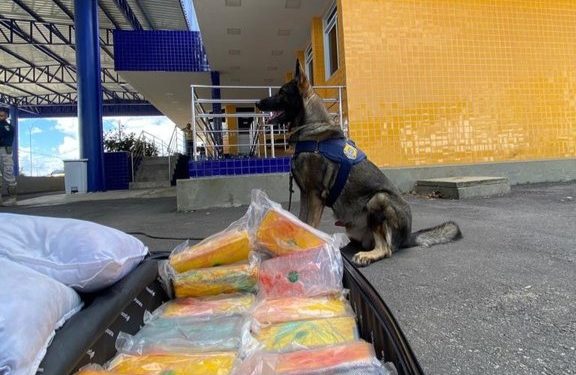 PRF apreende quase 14 quilos de cocaína em ônibus interestadual na cidade de Vitória da Conquista