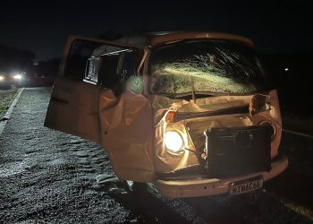 Kombi que transportava grupo evangélico colide com vaca na BR-330 em Ipiaú