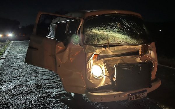 Kombi que transportava grupo evangélico colide com vaca na BR-330 em Ipiaú