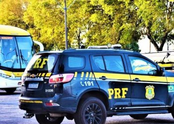 Cão farejador da PRF encontra maconha e cocaína em bagagem de mulher num ônibus interestadual