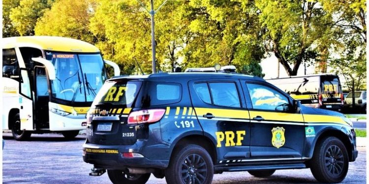 Cão farejador da PRF encontra maconha e cocaína em bagagem de mulher num ônibus interestadual