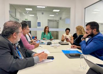 Secretária de Saúde do Estado se reúne com municípios para discutir combate à dengue