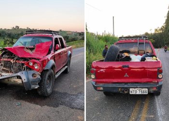 Caminhonete colide com 2 animais na BA-650, no trecho entre Ipiaú e Itagibá