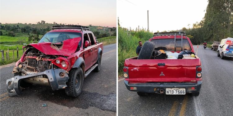 Caminhonete colide com 2 animais na BA-650, no trecho entre Ipiaú e Itagibá