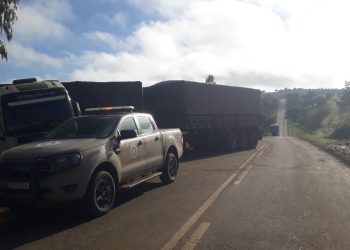 Carreta tomba ao desviar de animais e interdita rodovia entre Nova Itarana e Planaltino