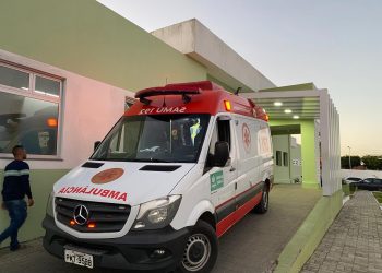 Jaguaquara registra 101 casos envolvendo escorpião em 2024; Bahia contabiliza mais de 10 mil acidentes