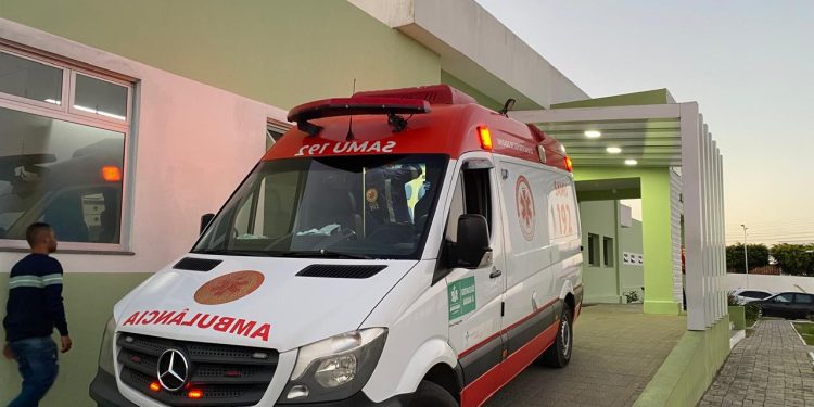 Jaguaquara registra 101 casos envolvendo escorpião em 2024; Bahia contabiliza mais de 10 mil acidentes