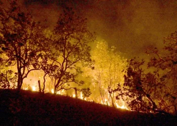 Queimadas persistem na Amazônia; cidades do Pará superam 1 mil focos