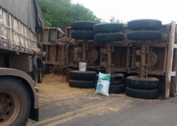 Carreta de soja tomba na BA-026 entre Planaltino e Nova Itarana; Rodovia já foi liberada