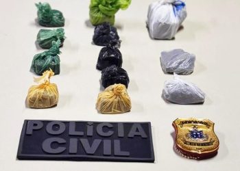 Polícia Civil prende homem por tráfico de drogas em Jaguaquara e apreende 350g de maconha