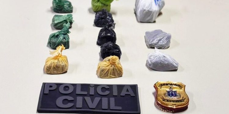 Polícia Civil prende homem por tráfico de drogas em Jaguaquara e apreende 350g de maconha