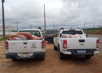 Operação da ADAB e Vigilância sanitária apreende 1,3 tonelada de  produtos de abate clandestino em Jaguaquara