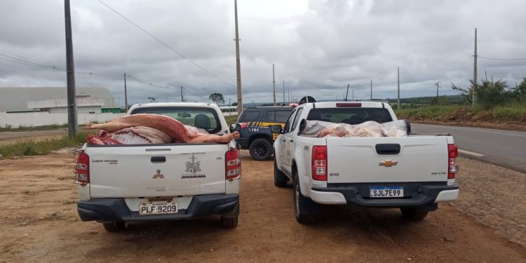 Operação da ADAB e Vigilância sanitária apreende 1,3 tonelada de  produtos de abate clandestino em Jaguaquara