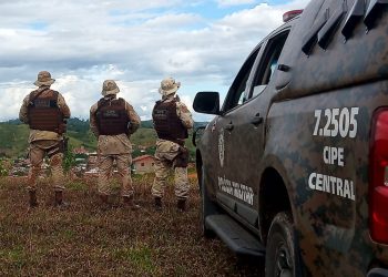 CIPE Central encontra plantação com 50 mil pés de maconha em Iramaia; Arma de fogo foi apreendida