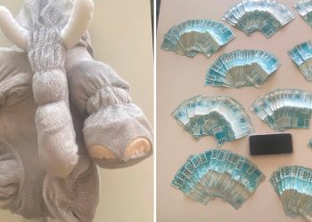 Polícia Militar apreende 20 mil reais escondidos em pelúcia durante operação em Jaguaquara
