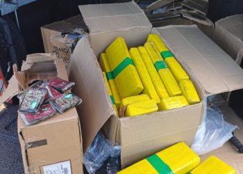 PRF, PF e CIPE Sudoeste apreendem quase 5 toneladas de drogas em Vitória da Conquista