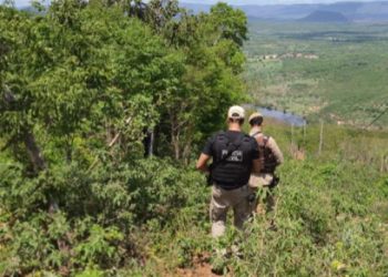 Homem é preso suspeito de matar colega após briga por gaiola de passarinho no sul Bahia
