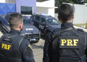 PRF apreende fuzis que estavam sendo levados do Rio para Porto Seguro