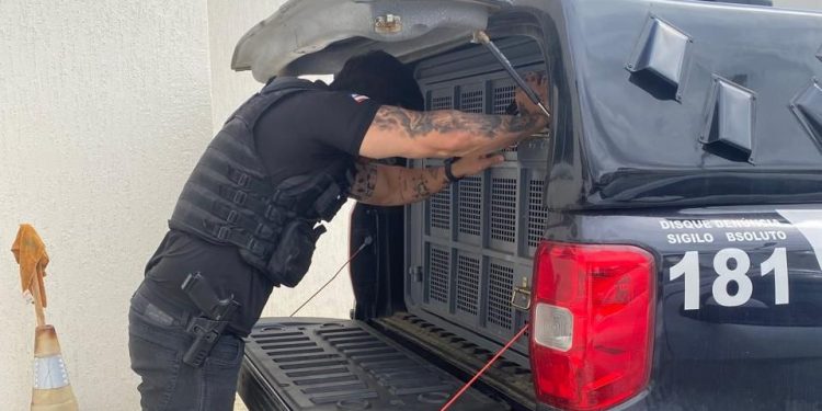 Polícia Civil prende homem suspeito de lesão corporal seguida de morte contra idosa em Jaguaquara