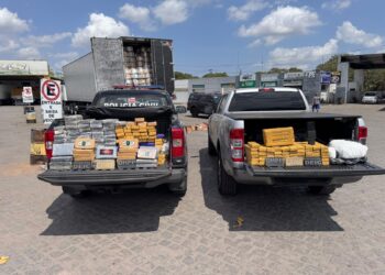 Polícia Civil da Bahia apreende mais de 200 quilos de drogas ligadas a organização criminosa do Rio de Janeiro