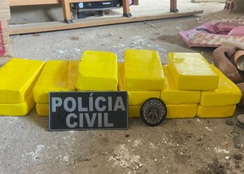 Ação da Polícia Civil apreende 15 quilos de cocaína e armas em Poções