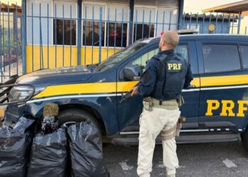 PRF apreende 30 kg de maconha após perseguição e acidente em Feira de Santana