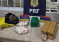 PRF apreende mais de 12 kg de drogas em ônibus na BR-116