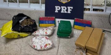 PRF apreende mais de 12 kg de drogas em ônibus na BR-116