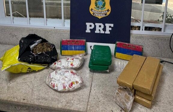 PRF apreende mais de 12 kg de drogas em ônibus na BR-116
