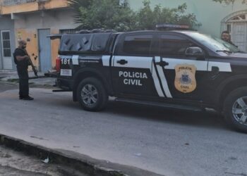 Operação prende 11 suspeitos de furtos de gado no Extremo Sul da Bahia